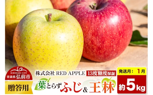 【27年1月発送】りんご 13度糖度保証【贈答用】葉とらずふじ＆王林 約5kg 先行受付 [アップル おいしい お歳暮 お中元 ギフト ふじ プレゼント りんご 王林 黄色 果実 果物 赤色 贈り物 贈答用 糖度 美味 葉っぱ 葉とらず 林檎]