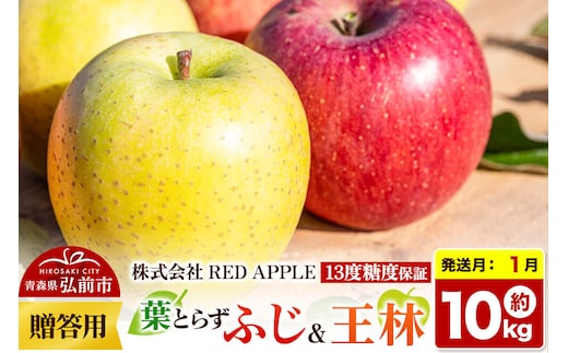 【27年1月発送】りんご 13度糖度保証【贈答用】葉とらずふじ＆王林 約10kg 先行受付 [アップル おいしい お歳暮 お中元 ギフト ふじ プレゼント りんご 王林 黄色 果実 果物 赤色 贈り物 贈答用 糖度 美味 葉っぱ 葉とらず 林檎]