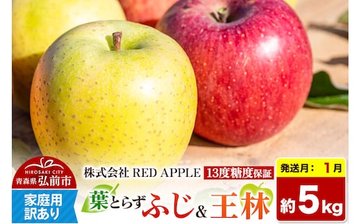 【27年1月発送】りんご 13度糖度保証【訳あり】家庭用 葉とらずふじ＆王林 約5kg 先行受付 [アップル おいしい ふじ りんご 王林 黄色 果実 果物 赤色 糖度 美味 葉っぱ 葉とらず 林檎]