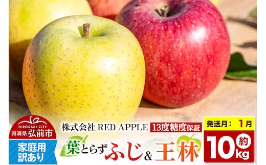 【27年1月発送】りんご 13度糖度保証【訳あり】家庭用 葉とらずふじ＆王林 約10kg 先行受付 [アップル おいしい ふじ りんご 王林 黄色 果実 果物 赤色 糖度 美味 葉っぱ 葉とらず 林檎]