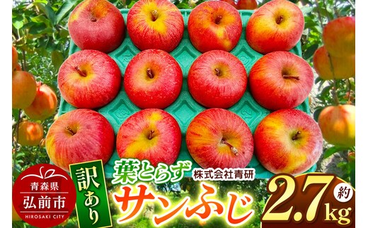 【26年4月～5月クール便発送】りんご 葉とらず サンふじ【訳あり】約2.7kg【スマートフレッシュ加工】青森 果物 フルーツ 林檎 リンゴ くだもの 不揃い 規格外 [アップル 産地直送 クール便 スマートフレッシュ 青森県 弘前市]