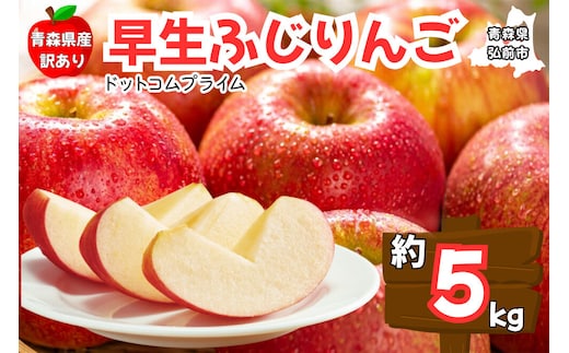 【26年10月中旬～11月下旬発送】りんご 早生ふじ 約5kg【訳あり ご家庭用】青森県産 青森 果物 フルーツ 林檎 リンゴ くだもの 弘前市 [産地直送 アップル おいしい ふじ りんご 果実 果物 早生 美味 林檎 弘前市]