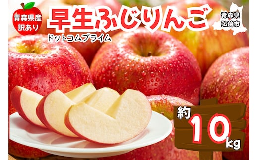 【26年10月中旬～11月下旬発送】りんご 早生ふじ 約10kg【訳あり ご家庭用】青森県産 青森 果物 フルーツ 林檎 リンゴ くだもの 弘前市 [産地直送 アップル おいしい ふじ りんご 果実 果物 早生 美味 林檎 弘前市]