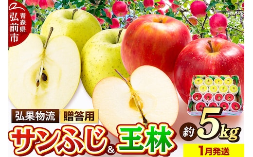 【27年1月発送】りんご 贈答用 サンふじ・王林 詰め合わせ 約5kg [アップル おいしい お歳暮 お中元 ギフト ふじ プレゼント りんご 王林 黄色 果実 果物 詰め合わせ 詰合 赤色 贈り物 贈答用 美味 林檎]