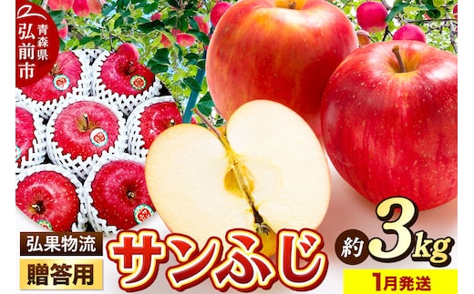 【27年1月発送】りんご 贈答用 サンふじ 約3kg [アップル おいしい お歳暮 お中元 ギフト ふじ プレゼント りんご 果実 果物 赤色 贈り物 贈答用 美味 林檎]