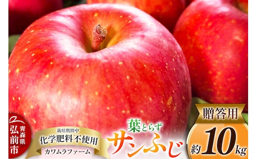 りんご 葉とらず サンふじ 約10kg カワムラファーム 贈答用 青森 果物 フルーツ 林檎 リンゴ くだもの