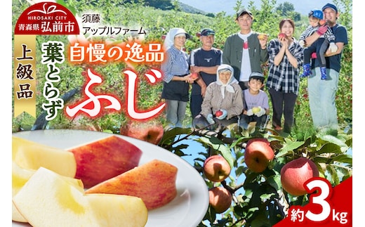 【26年11月下旬～発送】りんご 葉とらず ふじ【上級品】約3kg 先行受付 青森県 弘前市 果物 フルーツ 林檎 リンゴ くだもの ギフト 贈り物 贈答 [先行予約 産地直送 アップル おいしい 果実 美味 甘い 赤色]