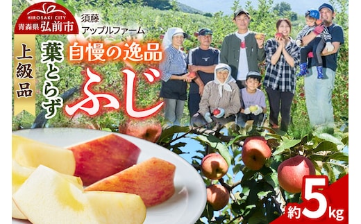 【26年11月下旬～発送】りんご 葉とらず ふじ【上級品】約5kg 先行受付 青森県 弘前市 果物 フルーツ 林檎 リンゴ くだもの ギフト 贈り物 贈答 [先行予約 産地直送 アップル おいしい 果実 美味 甘い 赤色]