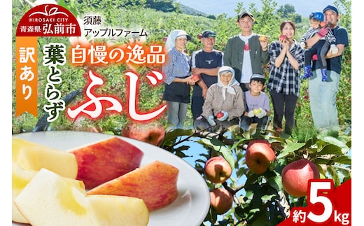 【26年11月下旬～発送】りんご 葉とらず ふじ【訳あり】約5kg 先行受付 家庭用 青森県 弘前市 果物 フルーツ 林檎 リンゴ くだもの 不揃い 規格外 [先行予約 産地直送 アップル おいしい 果実 美味 甘い 赤色]