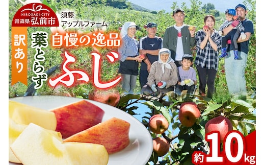 【26年11月下旬～発送】りんご 葉とらず ふじ【訳あり】約10kg 先行受付 家庭用 青森県 弘前市 果物 フルーツ 林檎 リンゴ くだもの 不揃い 規格外 [先行予約 産地直送 アップル おいしい 果実 美味 甘い 赤色]
