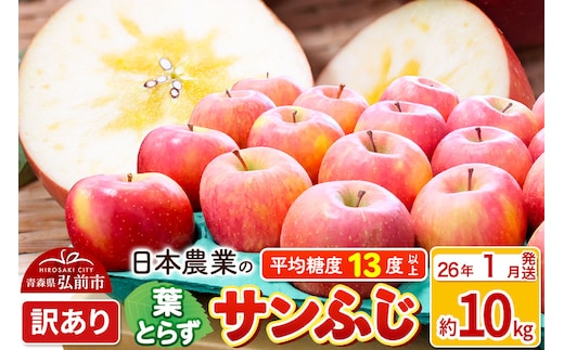 【26年1月発送】りんご 平均糖度13度以上！ 葉とらずサンふじ 約10kg 訳あり 青森 果物 フルーツ 林檎 リンゴ くだもの 不揃い 規格外