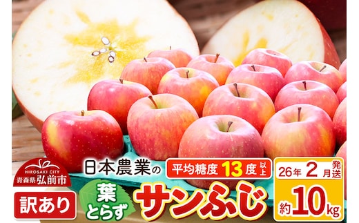 【26年2月発送】りんご 平均糖度13度以上！ 葉とらずサンふじ 約10kg 訳あり 青森 果物 フルーツ 林檎 リンゴ くだもの 不揃い 規格外