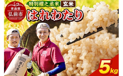 はれわたり 5kg ［玄米］ 特別權之丞米 青森県産 令和7年産