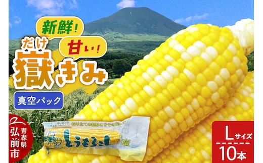 【26年10月中旬～発送】とうもろこし 嶽きみ真空パック Lサイズ 10本 しらかみラボ [先行予約 産地直送 嶽きみ コーン ブランド 真空パック おいしい 青森 野菜 だけきみ]