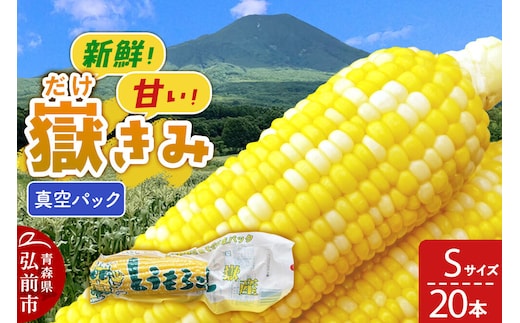 【26年10月中旬～発送】とうもろこし 嶽きみ真空パック Sサイズ 20本 しらかみラボ [先行予約 産地直送 嶽きみ コーン ブランド 真空パック おいしい 青森 野菜 だけきみ]