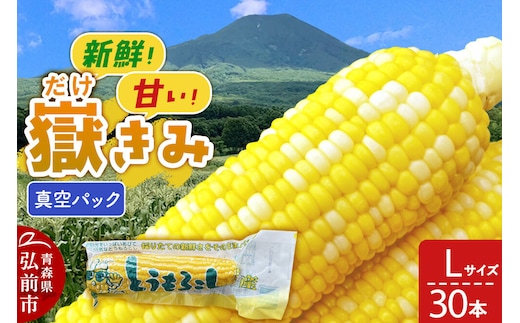 【26年10月中旬～発送】とうもろこし 嶽きみ真空パック Lサイズ 30本 しらかみラボ [先行予約 産地直送 嶽きみ コーン ブランド 真空パック おいしい 青森 野菜 だけきみ]