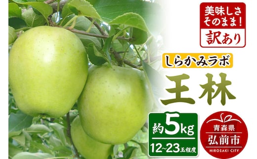 【26年12月中旬～発送】りんご 王林【訳あり】約5kg 先行受付 しらかみラボ 家庭用 青森県 弘前市 果物 フルーツ 林檎 リンゴ くだもの 不揃い 規格外 [先行予約 産地直送 アップル おいしい 果実 美味 甘い 黄色]