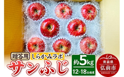【26年12月中旬～発送】りんご サンふじ【贈答用】約5kg 先行受付 しらかみラボ 青森県 弘前市 果物 フルーツ 林檎 リンゴ くだもの ギフト 贈り物 [先行予約 産地直送 アップル おいしい 果実 美味 甘い 赤色]