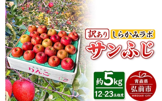 【26年12月中旬～発送】りんご サンふじ【訳あり】約5kg 先行受付 しらかみラボ 家庭用 青森県 弘前市 果物 フルーツ 林檎 リンゴ くだもの 不揃い 規格外 [先行予約 産地直送 アップル おいしい 果実 美味 甘い 赤色]