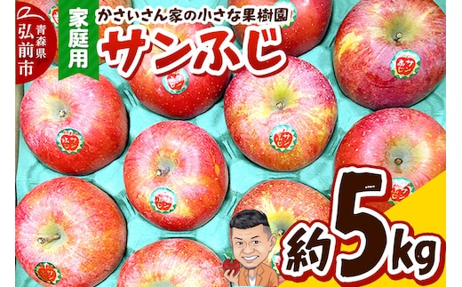 【26年11月下旬～発送】りんご サンふじ 約5kg【家庭用】林檎 リンゴ 果物 くだもの フルーツ 青森 [アップル おいしい 果実 果物 赤色 美味]