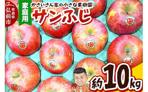 【26年12月～発送】りんご サンふじ 約10kg【家庭用】 [アップル おいしい 果実 果物 赤色 美味]