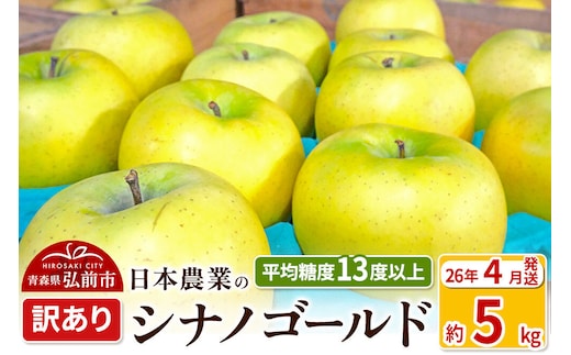 【寄附額見直しました】【26年4月クール便発送】りんご 平均糖度13度以上！ シナノゴールド 約5kg 訳あり CA貯蔵 クール便 青森 果物 フルーツ 林檎 リンゴ くだもの 不揃い 規格外 [りんご シナノゴールド 訳あり CA貯蔵 クール便 青森 果物 フルーツ 林檎 リンゴ くだもの 弘前]