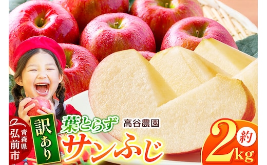 【26年11月～発送】りんご 葉とらず サンふじ【訳あり】約2kg 高谷農園 先行受付 家庭用 青森県 弘前市 果物 フルーツ 林檎 リンゴ くだもの 不揃い 規格外 [先行予約 産地直送 アップル おいしい 果実 美味 甘い 赤色]