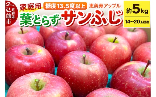 りんご 【糖度13.5度以上】サンふじ 約5kg 葉とらず 青森県 フルーツ 果物