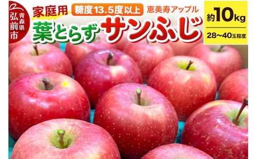 りんご 【糖度13.5度以上】サンふじ 約10kg 葉とらず 青森県 フルーツ 果物