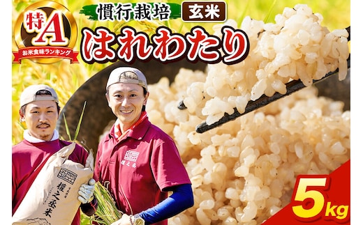 米 はれわたり 5kg［玄米］特A 慣行栽培 青森県産 令和7年産 [お米 東北 玄米 青森県 弘前市 ブランド米]