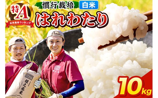 米 はれわたり 10kg［白米］特A 慣行栽培 青森県産 令和7年産 [お米 東北 精米 青森県 弘前市 白米 ブランド米]