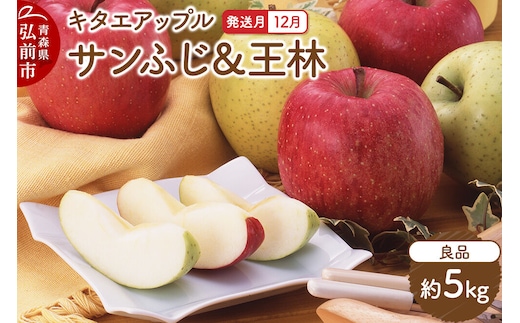【26年12月発送】りんご サンふじ・王林【良品】約5kg キタエアップル 青森県 弘前市 [先行予約 サンふじ 王林 りんご 贈り物 アップル おいしい 果実 果物 赤色 黄色 美味 林檎]