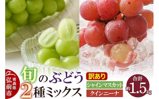 【26年10月～発送】ぶどう【訳あり】旬のぶどう2種ミックス 約1.5kg（シャインマスカット、クインニーナ）まもる農園 青森県 弘前市 [葡萄 ブドウ 詰め合わせ セット]