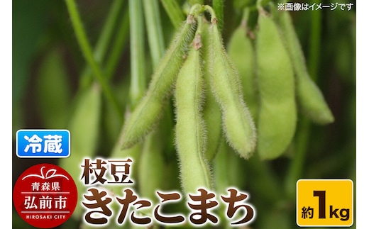 【26年9月クール便発送】枝豆 きたこまち 約1kg まもる農園 青森県 弘前市 [国産 早生 おつまみ 野菜 クール便]