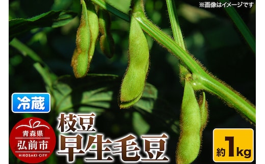 【26年8月下旬～クール便発送】枝豆 早生毛豆 約1kg まもる農園 青森県 弘前市 [国産 早生 毛豆 おつまみ 野菜 クール便]