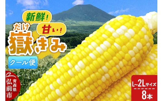 【26年8月下旬～クール便発送】とうもろこし 嶽きみ【先行受付】L～2Lサイズ 8本 しらかみラボ [先行予約 とうもろこし コーン 嶽きみ ブランド クール便 おいしい 青森 野菜 だけきみ]
