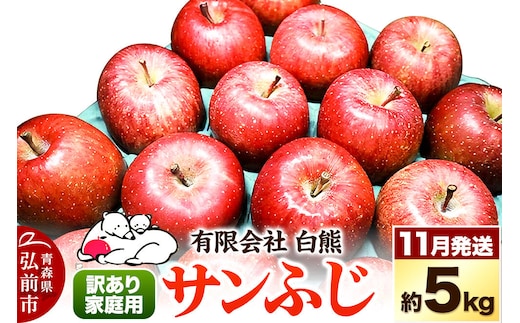 【26年11月下旬発送】りんご 訳あり家庭用 白熊 サンふじ 約5kg（14～20玉程度）糖度13度 先行受付 [先行予約 アップル おいしい ふじ りんご 果実 果物 赤色 糖度 美味 林檎]