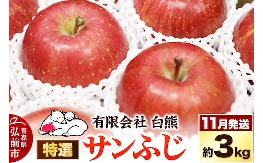 【26年11月下旬発送】りんご 特選 白熊 サンふじ 絆 約3kg（9～12玉程度）糖度13度 先行受付 [先行予約 アップル おいしい ふじ りんご 果実 果物 赤色 糖度 美味 林檎]