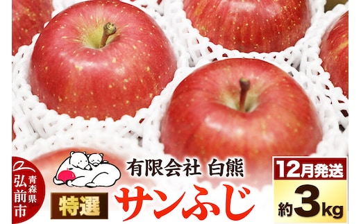 【26年12月発送】りんご 特選 白熊 サンふじ 絆 約3kg（9～12玉程度）糖度13度 先行受付 [先行予約 アップル おいしい ふじ りんご 果実 果物 赤色 糖度 美味 林檎]