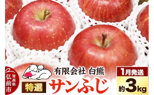 【27年1月発送】りんご 特選 白熊 サンふじ 絆 約3kg（9～12玉程度）糖度13度 先行受付 [先行予約 アップル おいしい ふじ りんご 果実 果物 赤色 糖度 美味 林檎]