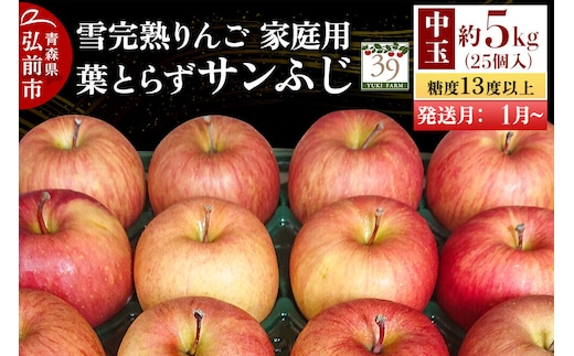 【27年1月～発送】りんご 葉とらず サンふじ【家庭用】約5kg（25個入）中玉 糖度13度以上 雪完熟【数量限定】家庭用 自然 青森県 弘前市 果物 フルーツ 林檎 不揃い 規格外 [先行予約 産地直送 アップル おいしい 果実 美味 甘い 赤色]