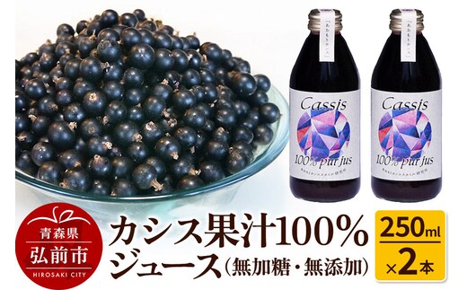 カシス果汁100％ジュース（無加糖・無添加）250ml×2本【果汁飲料】 [おいしい ジュース フルーツジュース 飲料 果汁 果汁100％ 果物 美味]