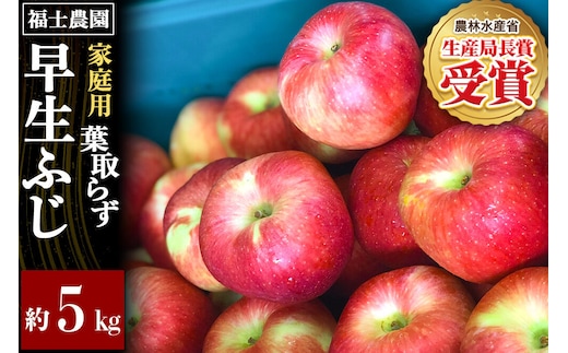 【26年10月発送】りんご 葉とらず 早生ふじ【家庭用】約5kg 青森県 弘前市 [青森県産 産地直送 アップル おいしい 果実 果物 赤色 美味]
