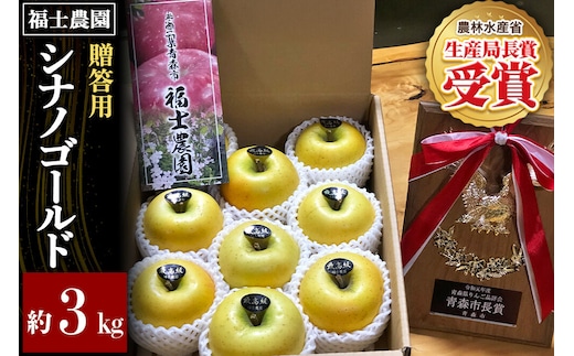 【26年11月発送】りんご シナノゴールド【贈答用・特選】約3kg 青森県 弘前市 [青森県産 産地直送 アップル おいしい 果実 果物 黄色 美味]