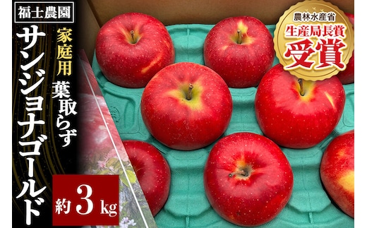 【26年10月～発送】りんご 葉とらず サンジョナゴールド【家庭用】約3kg 青森県 弘前市 [青森県産 産地直送 アップル おいしい 果実 果物 黄色 美味]