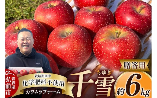 【寄附金額見直しました】【26年10月下旬～発送】りんご 千雪 約6kg カワムラファーム【贈答用】青森 果物 フルーツ 林檎 リンゴ くだもの [先行受付 アップル おいしい ちゆき お歳暮 お中元 ギフト プレゼント 果実 果物 赤色 贈り物 美味 林檎 弘前市]