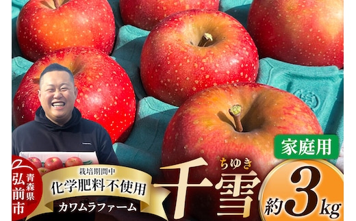 【26年10月下旬～発送】りんご 千雪 約3kg カワムラファーム【家庭用】青森 果物 フルーツ 林檎 リンゴ くだもの [先行受付 アップル おいしい ちゆき 果実 果物 赤色 美味 林檎 弘前市]