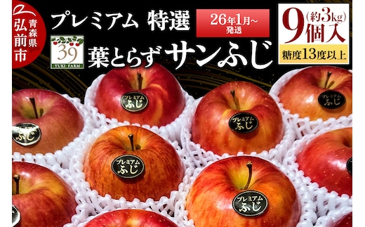 【26年1月～発送】りんご 【 数量限定 】糖度13度以上 「特選」 プレミアム 葉とらずサンふじ 約 3kg 9個入り