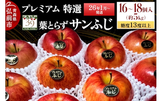 【26年1月～発送】りんご 【 数量限定 】糖度13度以上 「特選」プレミアム 葉とらずサンふじ 約 5kg 16～18個