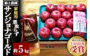 【26年10月～発送】りんご 葉とらず サンジョナゴールド【家庭用】約5kg 青森県 弘前市 [青森県産 産地直送 アップル おいしい 果実 果物 黄色 美味]